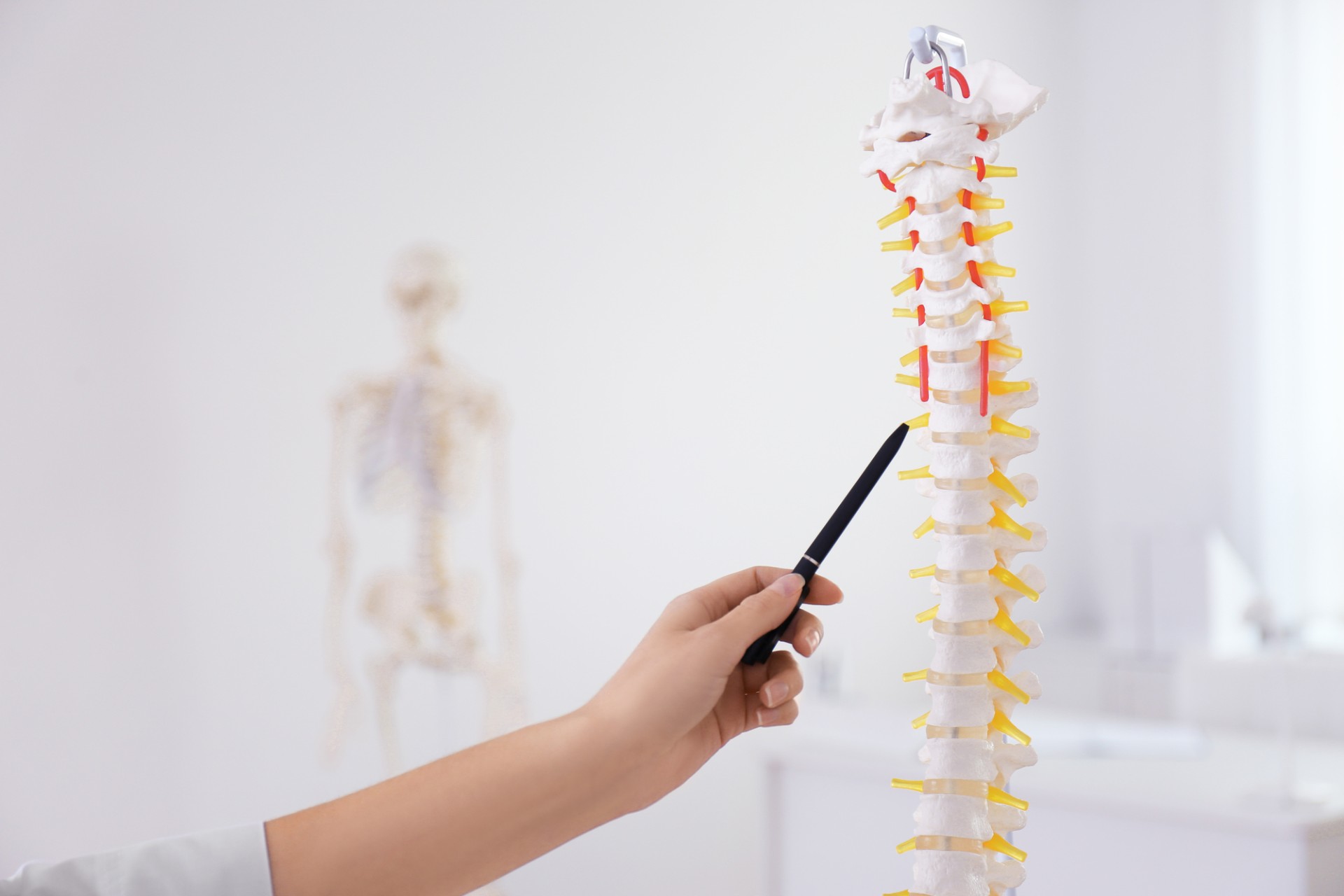 脊柱側弯症の治し方