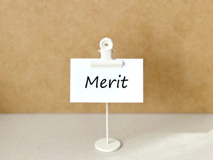 フローダイバーターのメリット